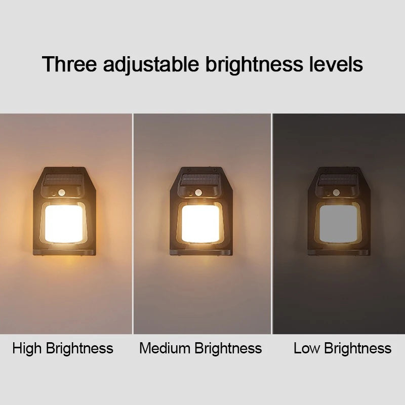 Solar Light
